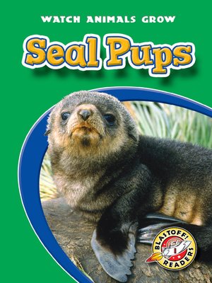 cover image of Seal Pups